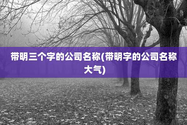 带明三个字的公司名称(带明字的公司名称 大气)