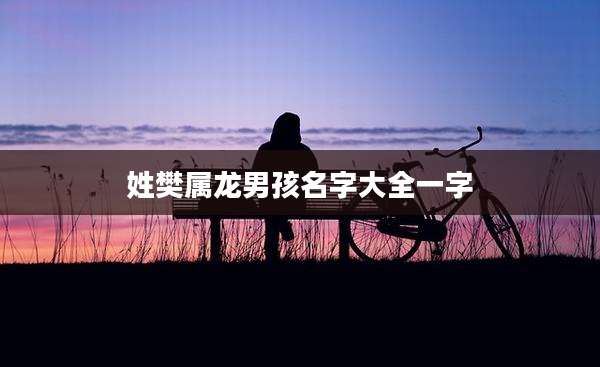 姓樊属龙男孩名字大全一字