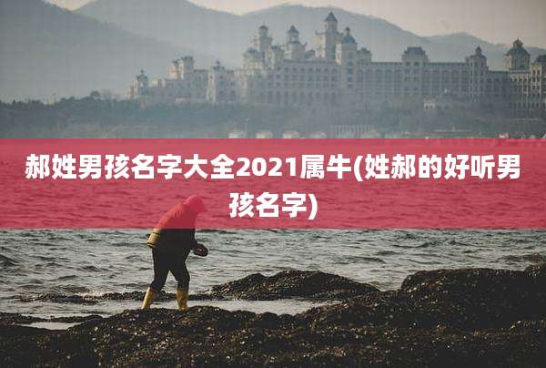 郝姓男孩名字大全2021属牛(姓郝的好听男孩名字)
