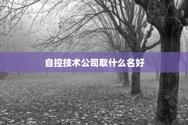 自控技术公司取什么名好