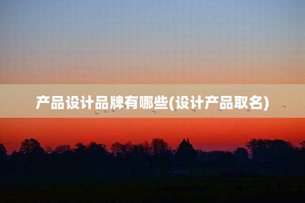产品设计品牌有哪些(设计产品取名)