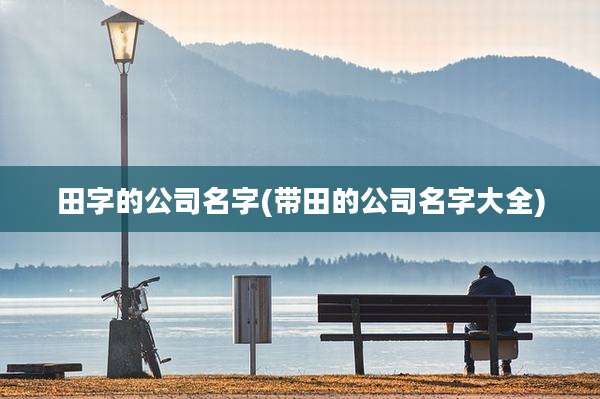 田字的公司名字(带田的公司名字大全)