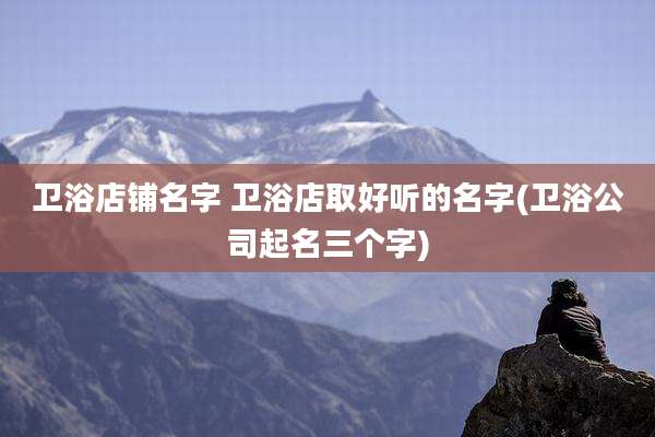 卫浴店铺名字 卫浴店取好听的名字(卫浴公司起名三个字)