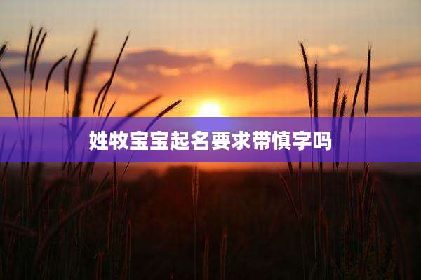 姓牧宝宝起名要求带慎字吗