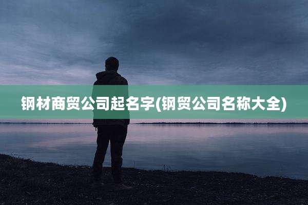 钢材商贸公司起名字(钢贸公司名称大全)
