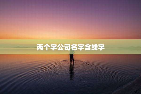 两个字公司名字含线字