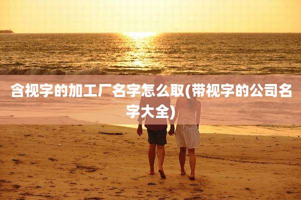 含视字的加工厂名字怎么取(带视字的公司名字大全)