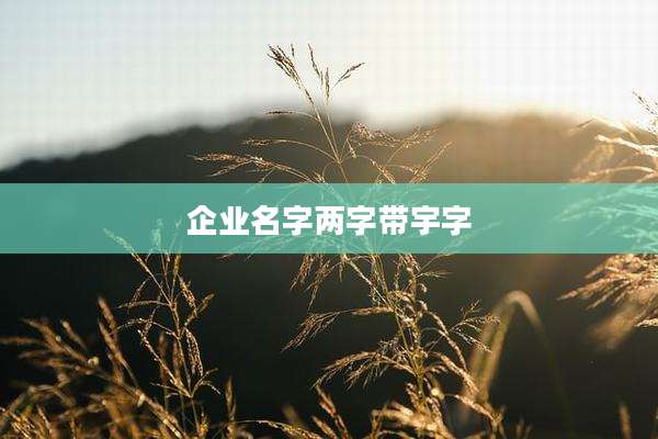 企业名字两字带宇字