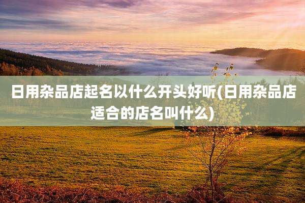 日用杂品店起名以什么开头好听(日用杂品店适合的店名叫什么)