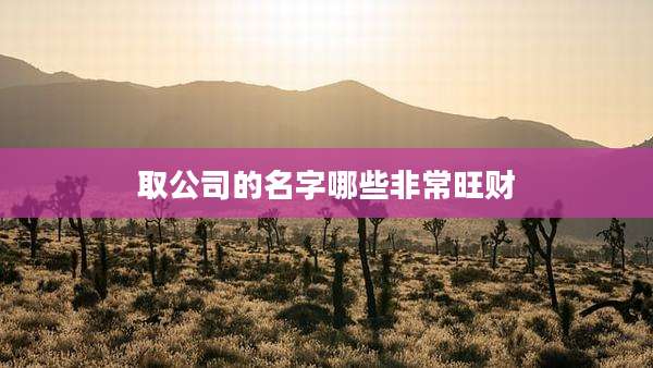 取公司的名字哪些非常旺财