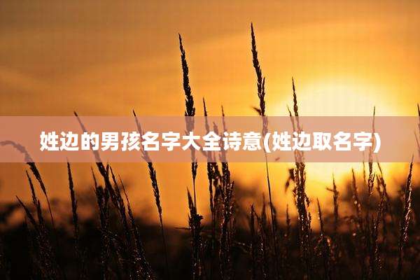 姓边的男孩名字大全诗意(姓边取名字)