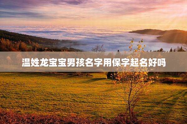 温姓龙宝宝男孩名字用保字起名好吗
