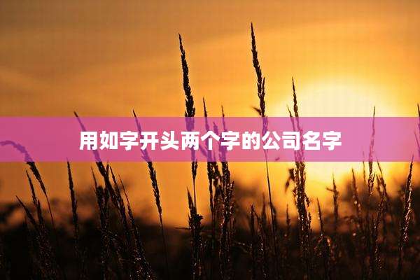 用如字开头两个字的公司名字
