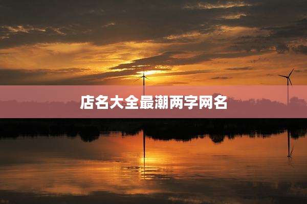 店名大全最潮两字网名