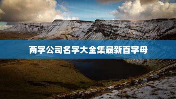 两字公司名字大全集最新首字母