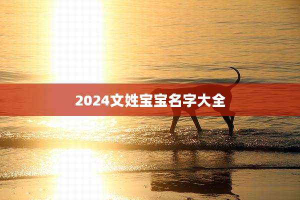 2024文姓宝宝名字大全