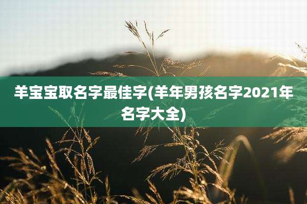 羊宝宝取名字最佳字(羊年男孩名字2021年名字大全)