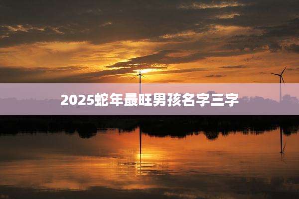 2025蛇年最旺男孩名字三字