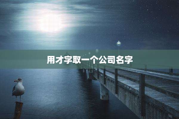 用才字取一个公司名字