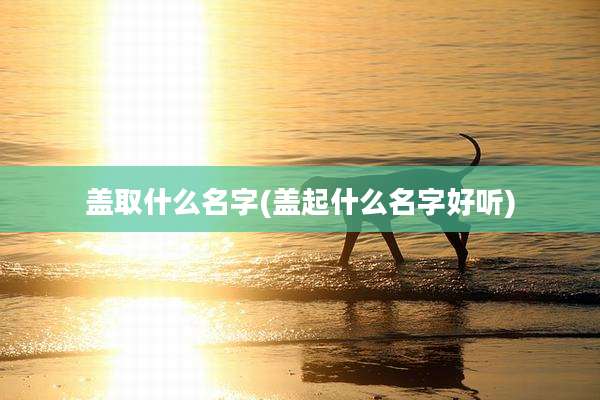 盖取什么名字(盖起什么名字好听)