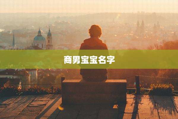 商男宝宝名字