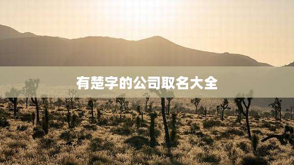 有楚字的公司取名大全