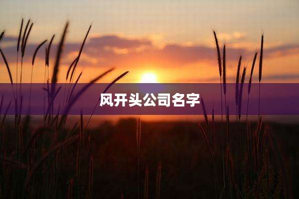 风开头公司名字