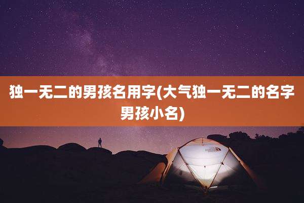 独一无二的男孩名用字(大气独一无二的名字男孩小名)