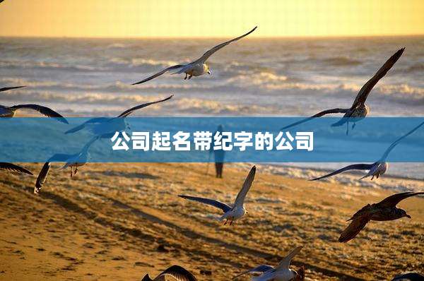 公司起名带纪字的公司