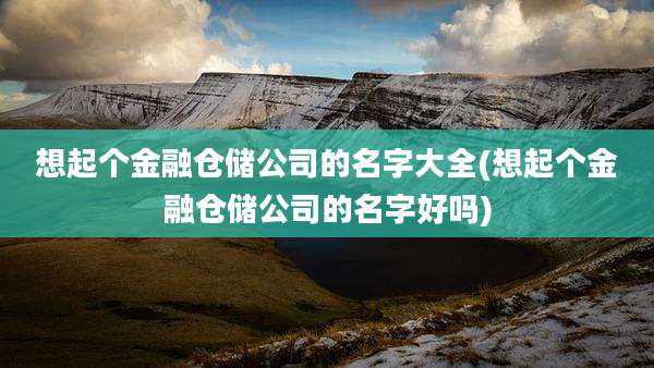 想起个金融仓储公司的名字大全(想起个金融仓储公司的名字好吗)