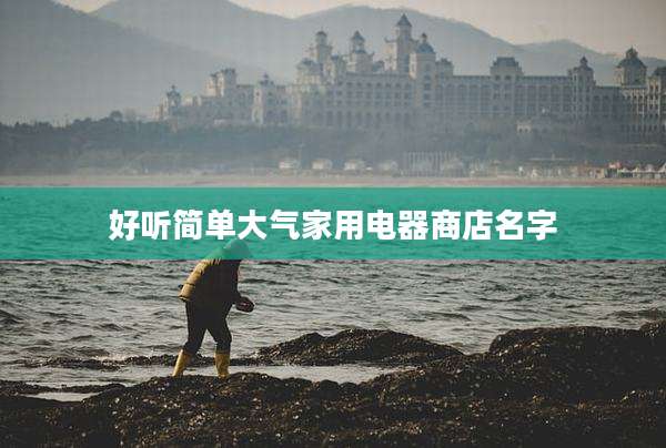 好听简单大气家用电器商店名字