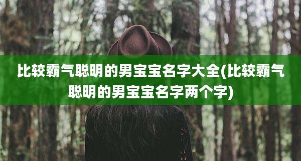 比较霸气聪明的男宝宝名字大全(比较霸气聪明的男宝宝名字两个字)