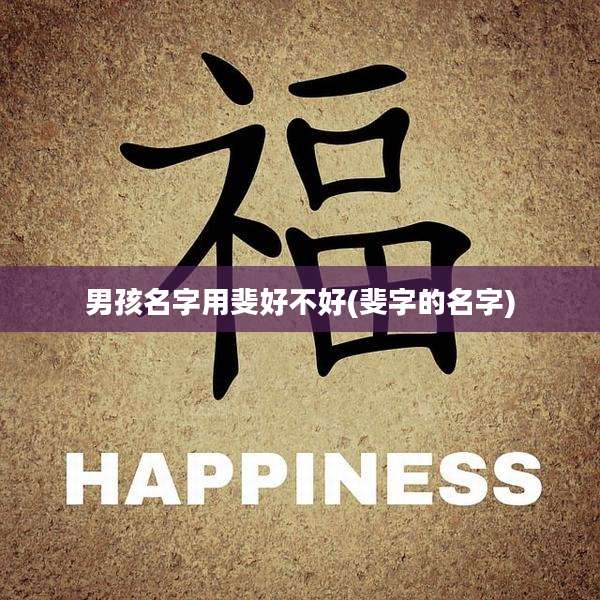 男孩名字用斐好不好(斐字的名字)