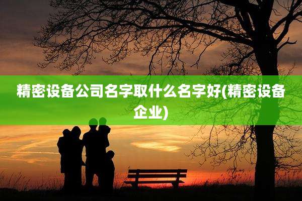 精密设备公司名字取什么名字好(精密设备企业)