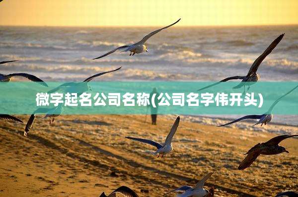 微字起名公司名称(公司名字伟开头)