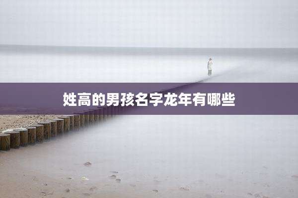 姓高的男孩名字龙年有哪些