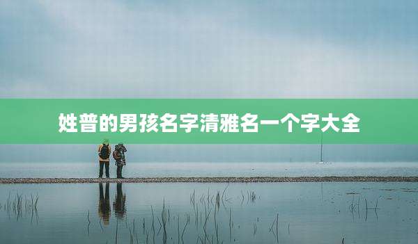 姓普的男孩名字清雅名一个字大全