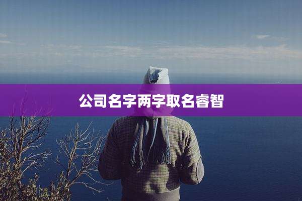 公司名字两字取名睿智