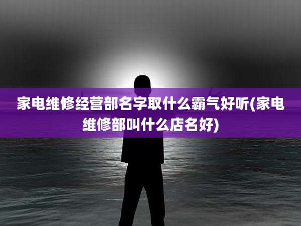 家电维修经营部名字取什么霸气好听(家电维修部叫什么店名好)