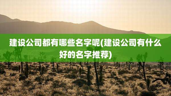 建设公司都有哪些名字呢(建设公司有什么好的名字推荐)