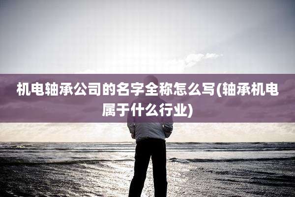 机电轴承公司的名字全称怎么写(轴承机电属于什么行业)