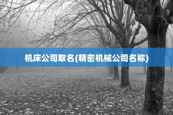 机床公司取名(精密机械公司名称)