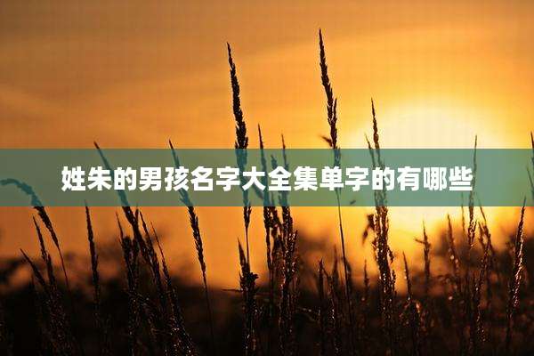 姓朱的男孩名字大全集单字的有哪些