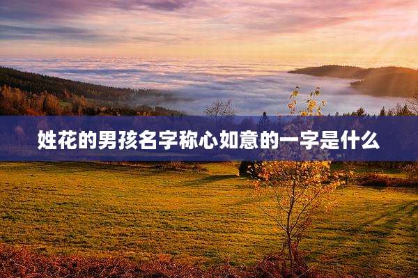 姓花的男孩名字称心如意的一字是什么