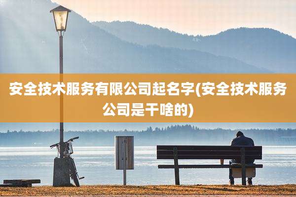 安全技术服务有限公司起名字(安全技术服务公司是干啥的)