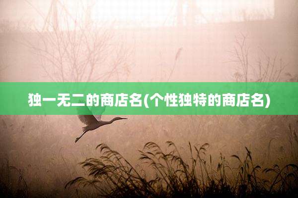 独一无二的商店名(个性独特的商店名)