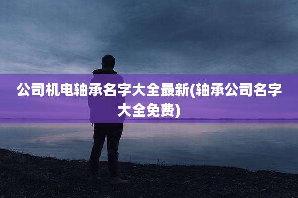 公司机电轴承名字大全最新(轴承公司名字大全免费)