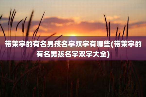 带茉字的有名男孩名字双字有哪些(带茉字的有名男孩名字双字大全)