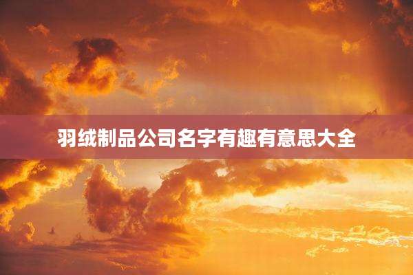 羽绒制品公司名字有趣有意思大全