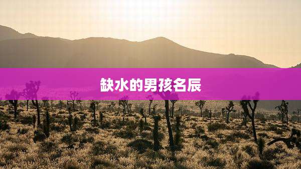 缺水的男孩名辰
